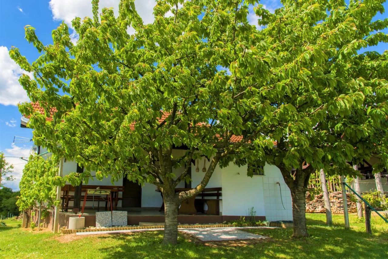 Villa Zidanica Balantic Dobrovnik Exterior foto